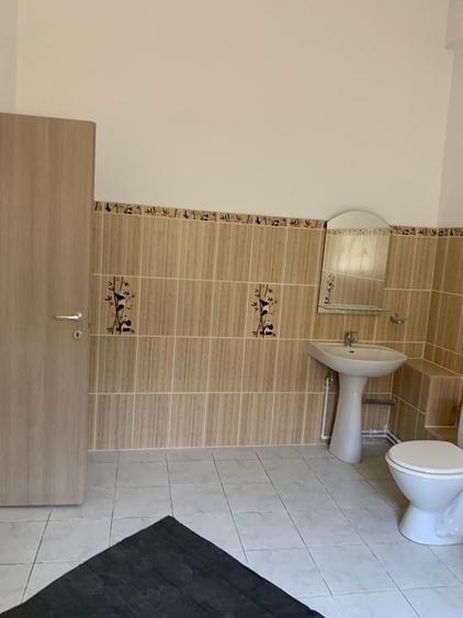 Spațiu Comercial 604 mp pe Teren 1.580 mp | Investiție Excelentă în Zona Pallady