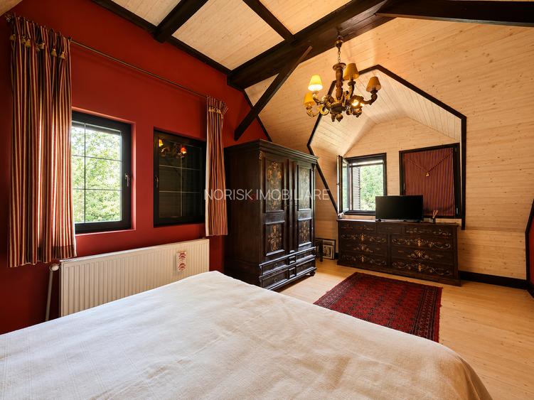 Mountain Chalet | Private Resort | Investment - Nistoresti - 14