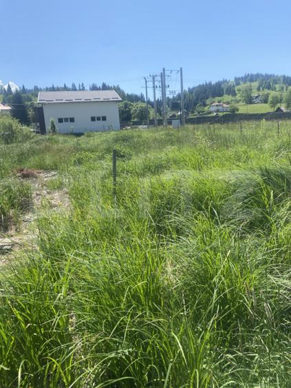 Teren intravilan în Vatra Dornei, str Roșu, 1000 mp
