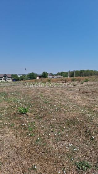 Teren intravilan 891 mp – Valea lui Traian, utilități, drum privat,zonă curată - 5