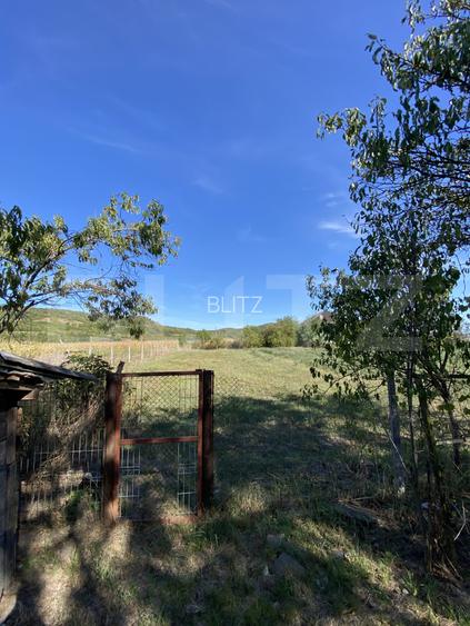 Casa de vanzare, 90 mp, 14 arii de teren, zona Sintereag - 8