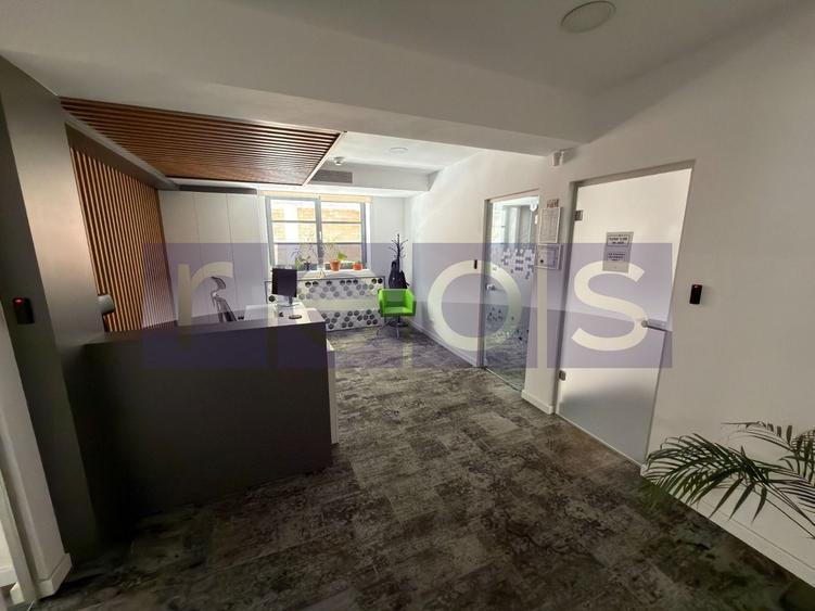 VILA PREMIUM FLOREASCA | 385MP | CURTE PROPRIE-PARCARE | IDEAL BIROURI - 6