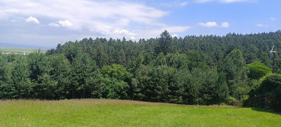 Teren cu priveliste,Mun. Sacele-Livezii