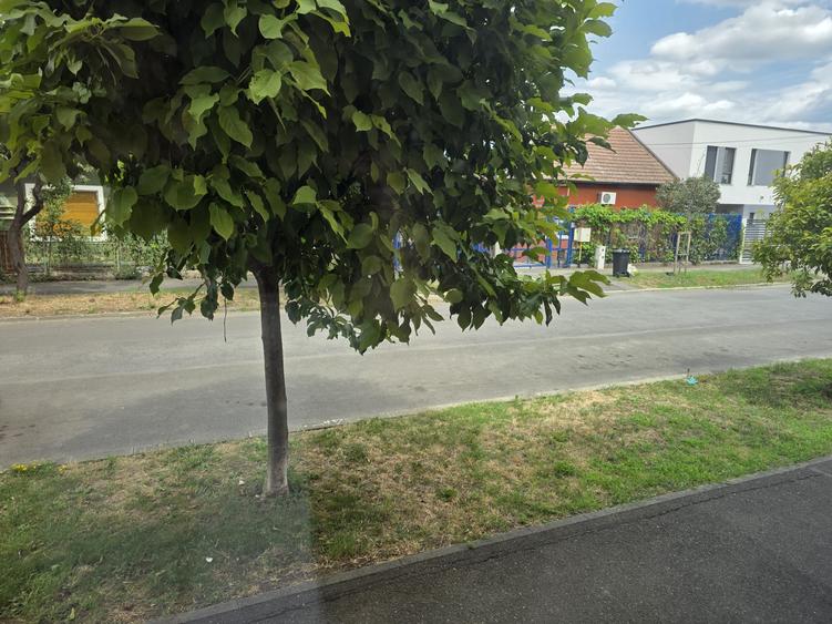 Inchiriez spatiu comercial in zona Lipovei