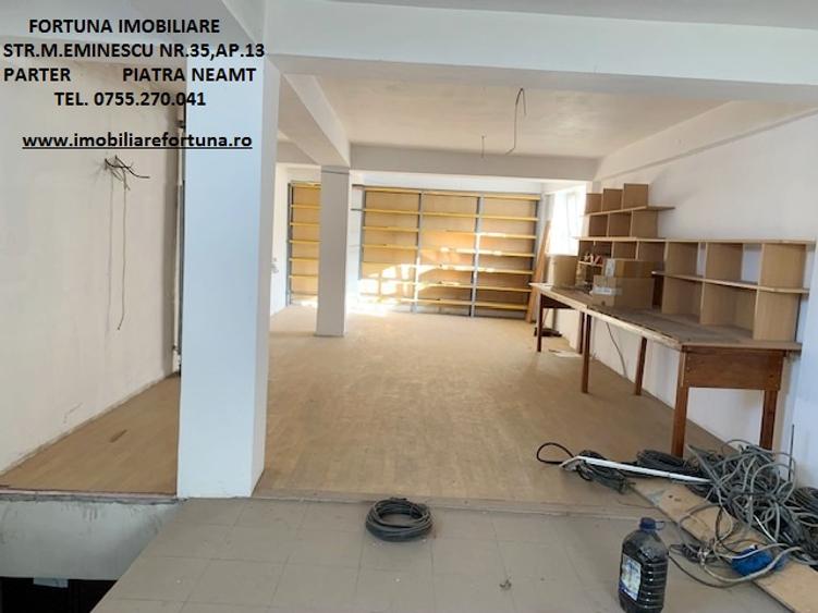 Proprietate imobiliara : 2 cladiri P si P+E si 1627 mp teren, Piatra Neamt