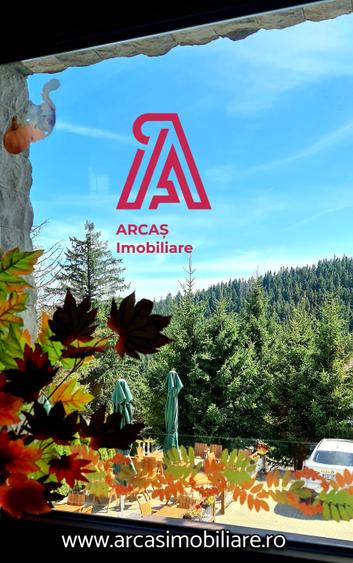 Afacere la Cheie Hotel de vanzare Statiunea Paltinis!