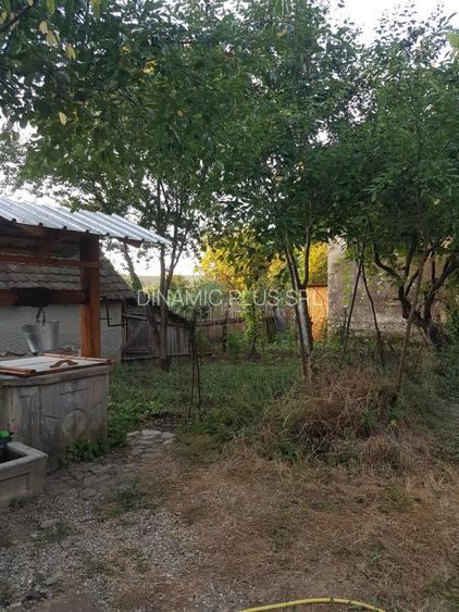 Casa singur in curte in Apoldu de Jos , la 35 km de Sibiu! - 49