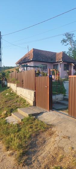 Casa de vanzre Visinelu Mures