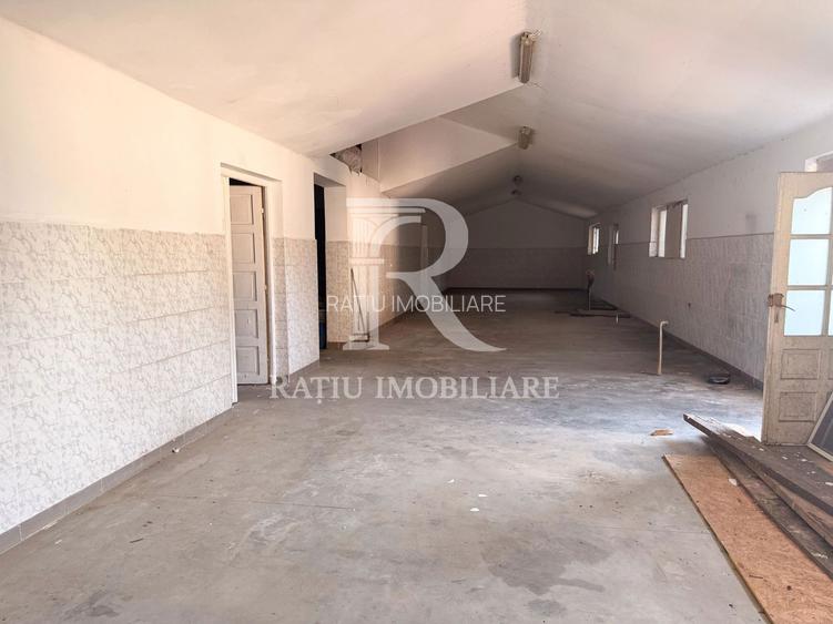 Casă cu Hală Industrială | Teren 3.200 mp | Ineu | Bihor - 26