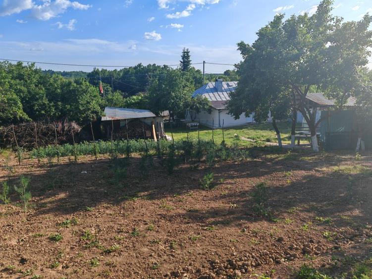 VANZARE CASA INDIVIDUALA