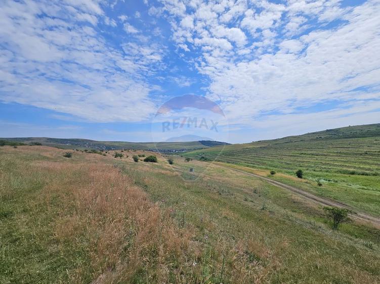 Teren extravilan de vanzare in Campenesti