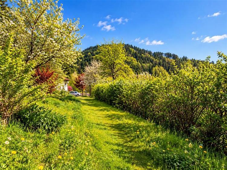 Resedinta distinctiva, pe domeniu de 2.200mp, cadru exclusivist, Central, Brasov - 12