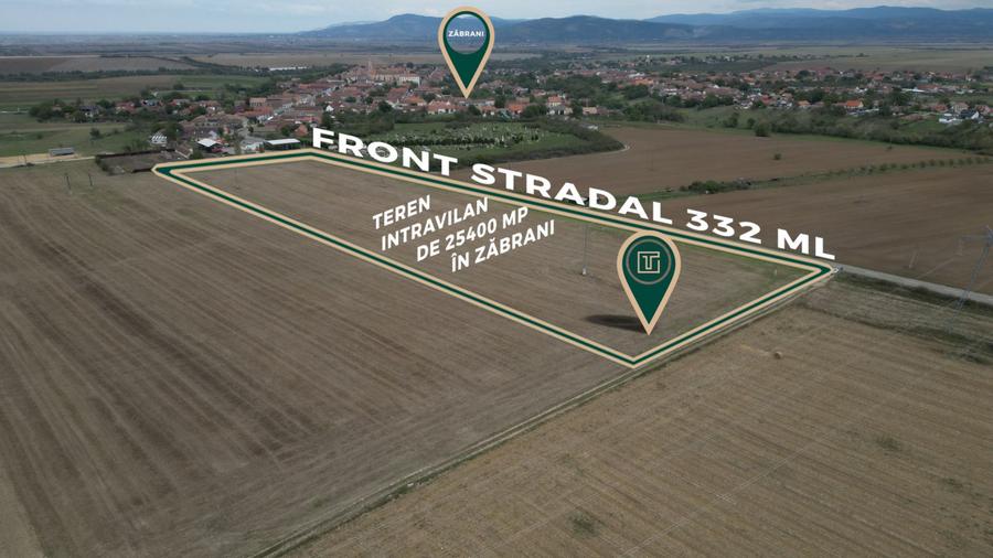 Teren intravilan de 25400 mp cu potențial excepțional pentru investiție în Zăbra