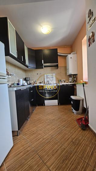 2 camere Vitan Barzesti/ Confort Park/ centrala /parcare/ pet friendly - 12