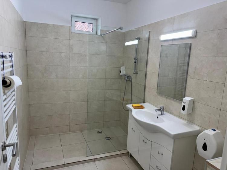 Spatiu Comercial Strada Lunga