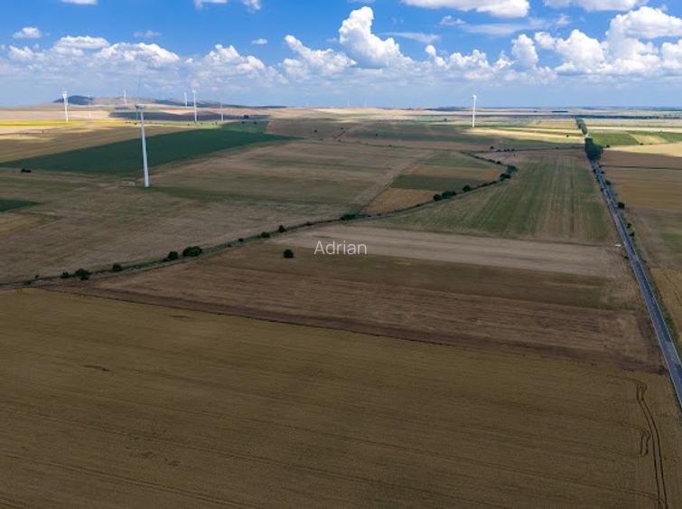 Vând teren agricol la șosea de 30.000mp în Iazurile comuna Valea Nucarilor