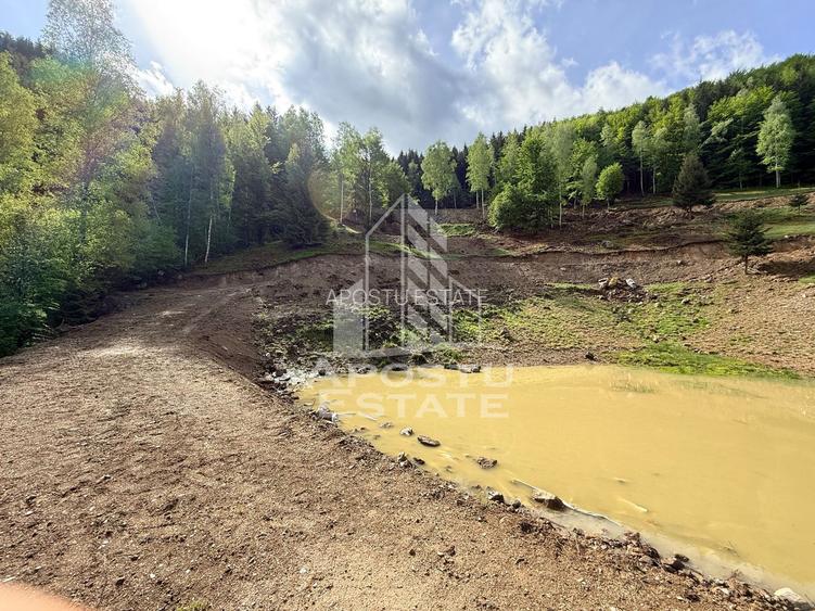 Oportunitate! Domeniu montan, cu lac propriu, oras Lupeni, Hunedoara - 32