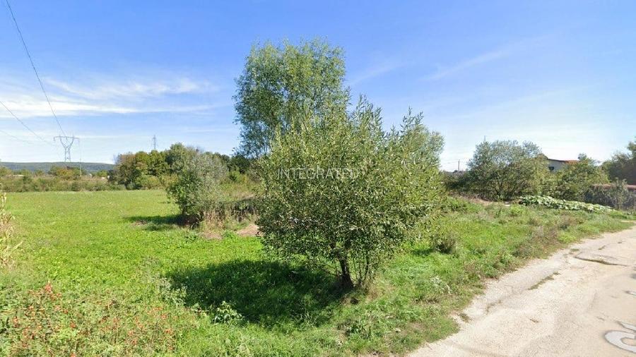 Teren intravilan 2.000m², Bascov - Arges - 5