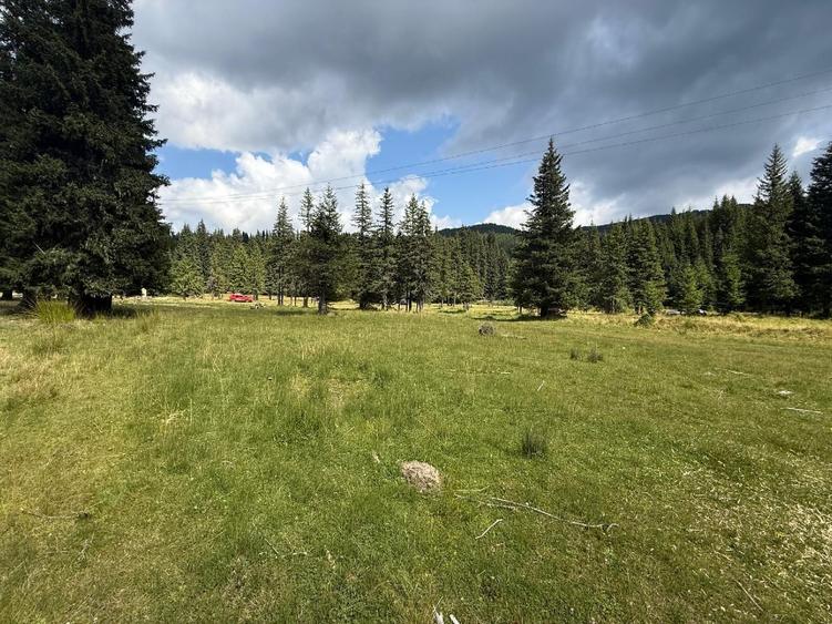 Teren Intravilan cu PUZ in zona Padina/Pestera