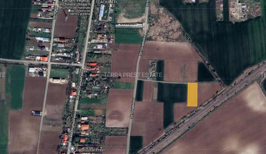 RATE LA VANZATOR! Ocazie! 1500 mp intravilan Caciulati, acces rapid A3 - 2