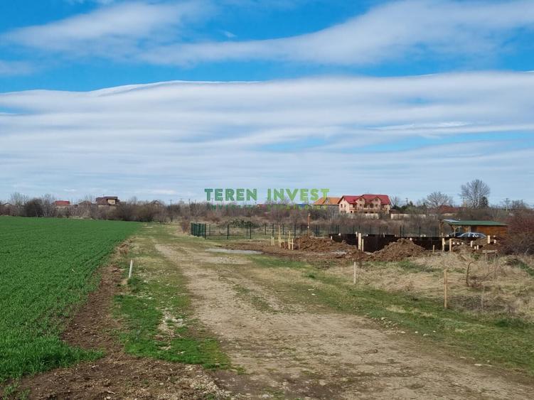 Teren 10.000 mp de vânzare – Balotești – PUZ locuințe