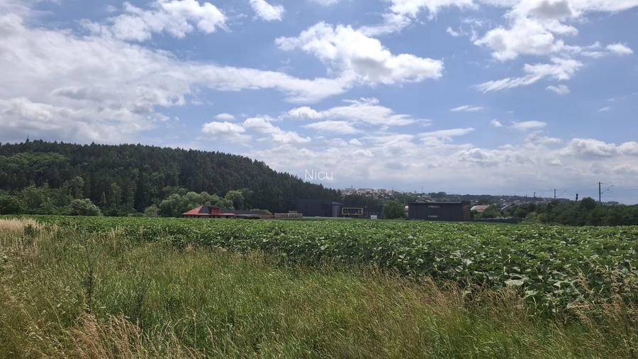 Se vinde teren de 5000mp, intr o zona foarte liniștită aproape de pădure - 2