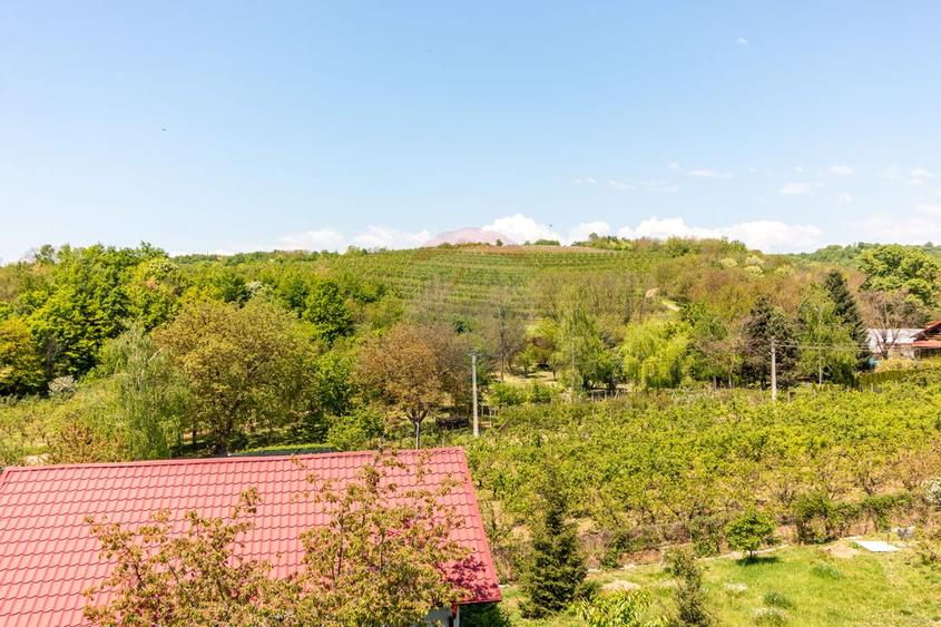 Teren 1.018 la 15 min de Ploiești | premium | zona dealuri