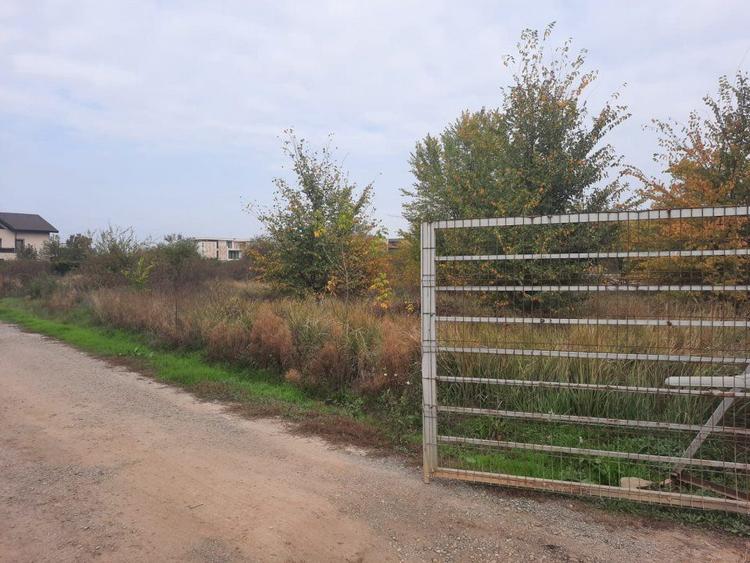 Teren 1000mp Campul Pipera