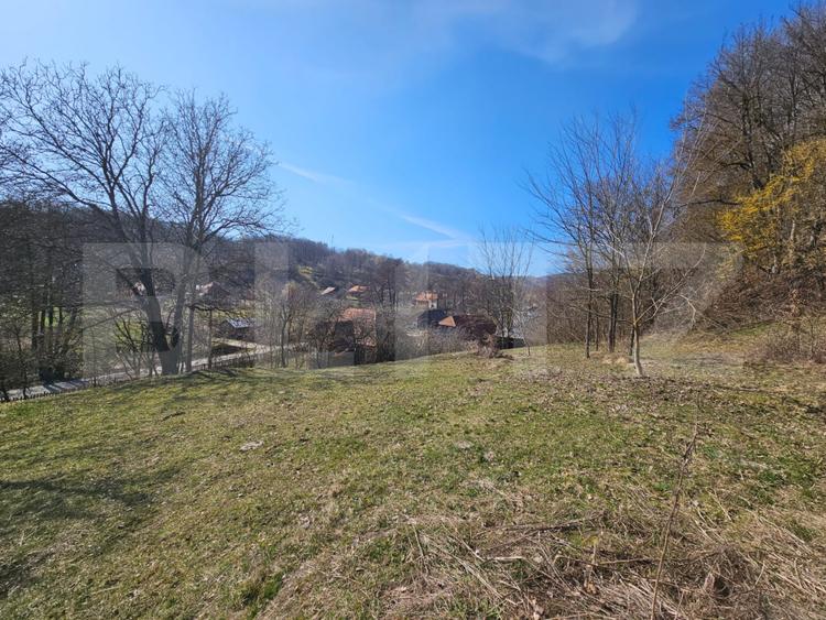 Casă cu teren generos 6.820 mp, lângă pădure și râu – Almașu Mare