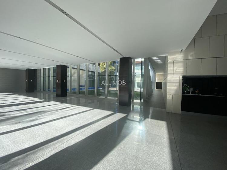 Penthouse, 5 camere, piscina proprie, zona  Kiseleff - Arcul de Triumf. - 25