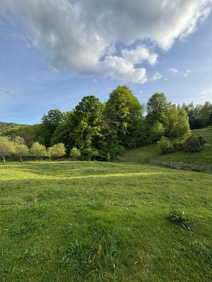 Teren de vânzare în Cugir