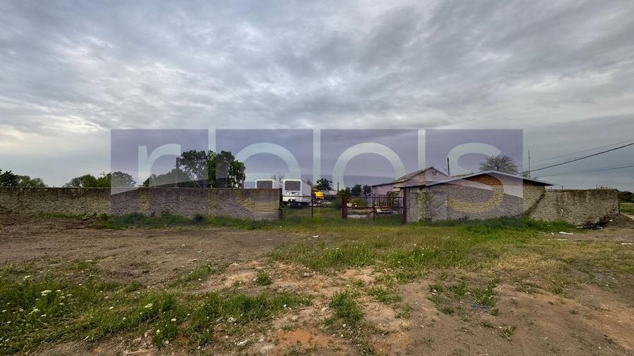 VANZARE TEREN 16.000 MP | 2 LOTURI | CONSTRUCTII EXISTENTE | ROSIORI DE VEDE - 3