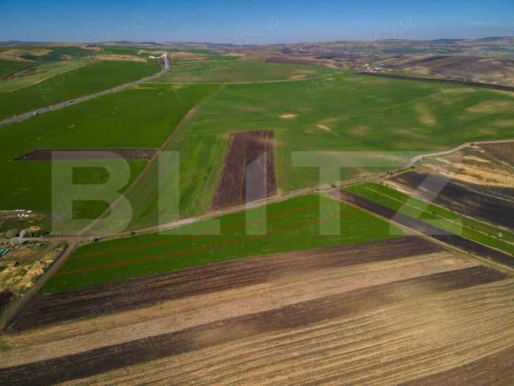 Teren de vanzare, 8.000 mp, zona Copaceni