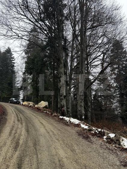 Teren unic, exclusivist 4000 mp, in inima muntilor, Sinaia