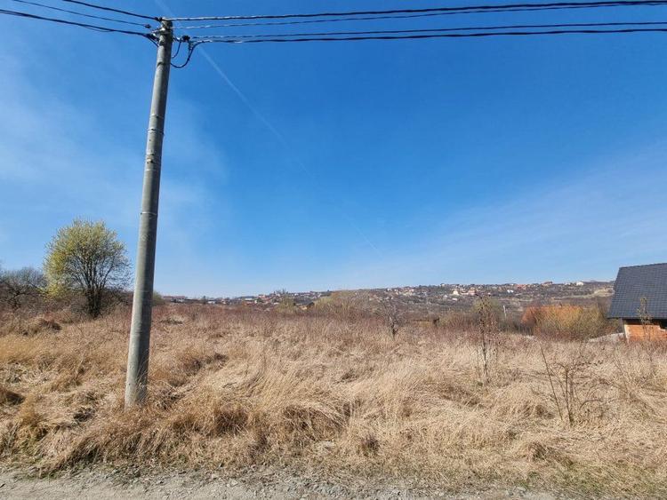 Oportunitate! Teren 8000 mp,parcelat ,cu PUZ ,Daia Noua, acces Dj 106