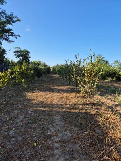 Casă de vânzare în comuna Făcăeni, județul Ialomița – teren 2600 mp, casă nouă,