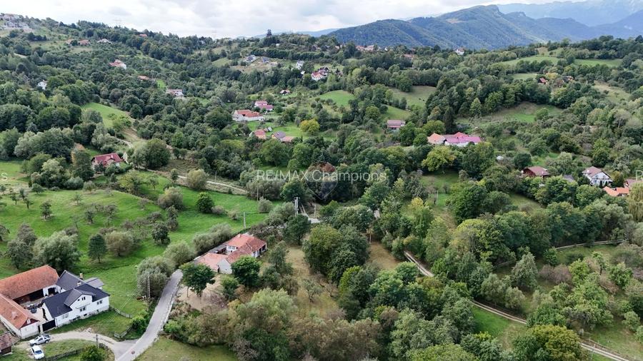 Teren intravilan | 4840 mp | Casă + Anexe | Utilități | Sohodol | Bran