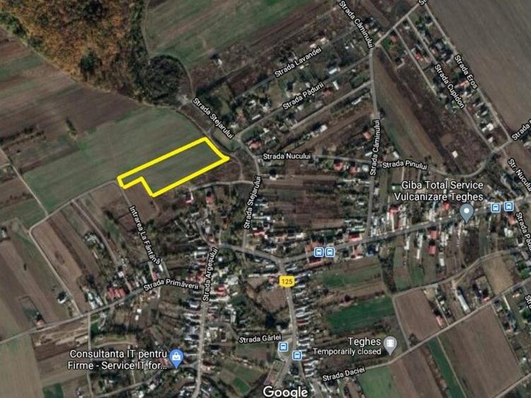 Domnesti-Teghes, 10000mp, 50X200, intravilan, acces 2 strazi, utilitati in zona