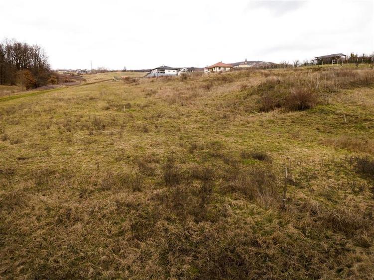 RECO teren intravilan Betfia – ideal pentru casa sau investitie