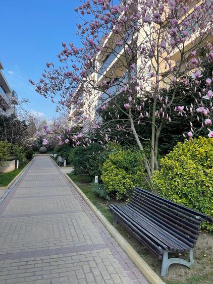 GRADINA ZOOLOGICA / PADUREA BANEASA / PENTHOUSE UNICAT / PARCARE 2 LOCURI