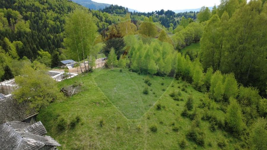 Teren 38,704mp Sirnea | 2.000 mp Intravilan | 36,704 Extravilan