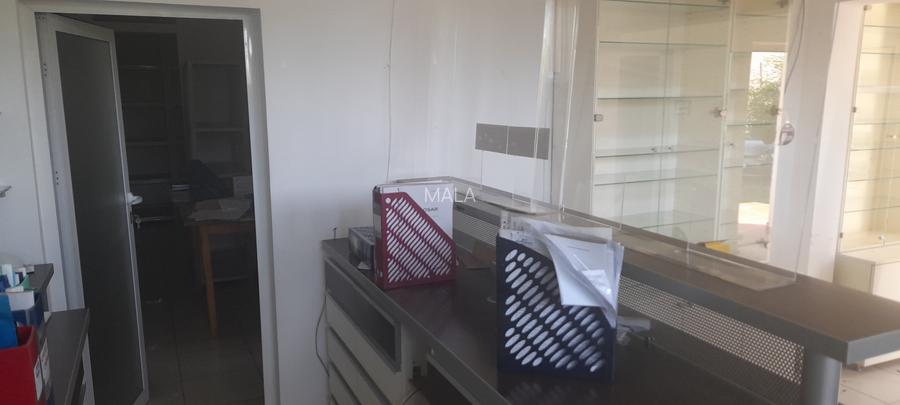 Casa in Darmanesti - 12
