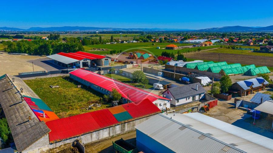 Hala de vanzare si casa pe acelasi teren- Comision 0%- Prejmer