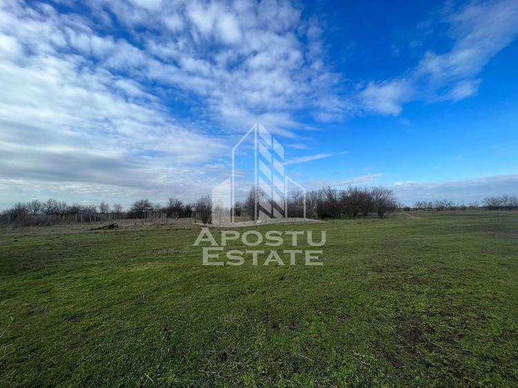 Parcele de teren pentru inchiriat, zona Gai