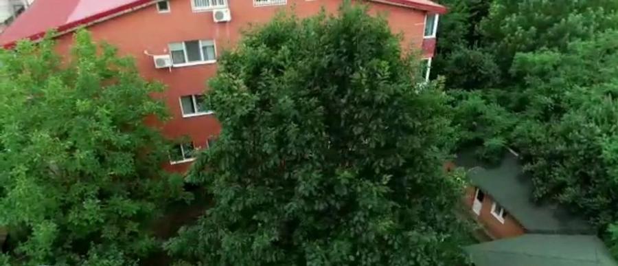 Duplex. 4 camere. Lux  Metrou Aparatorii Patriei.