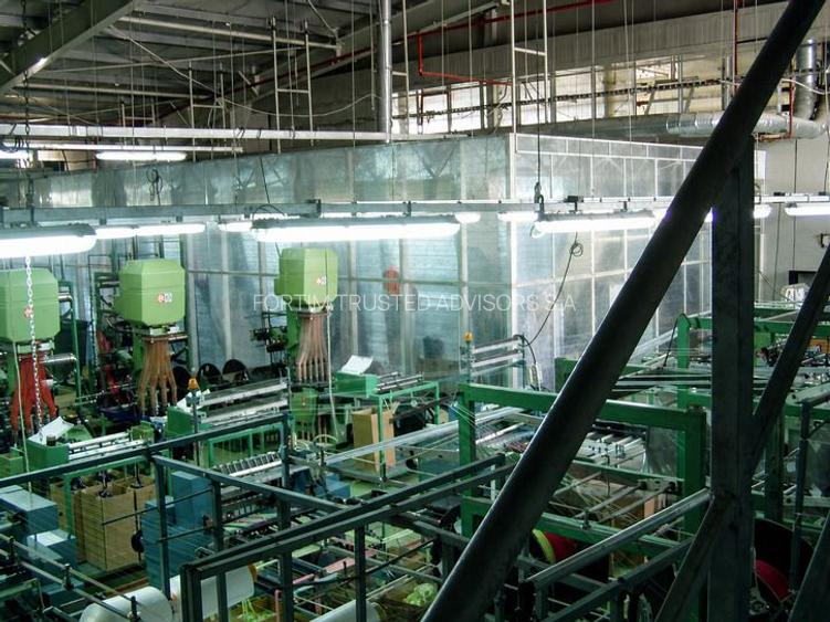 Str. Zizinului (Sacele) - Complex Industrial - 12