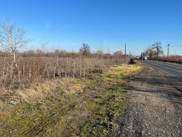 Teren intravilan, Săcădat, 27 921 mp. 9,5 Euro/mp. Comision 0.