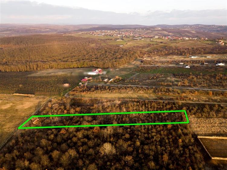 Reco Teren intravilan in Saldabagiu de munte 4333MP