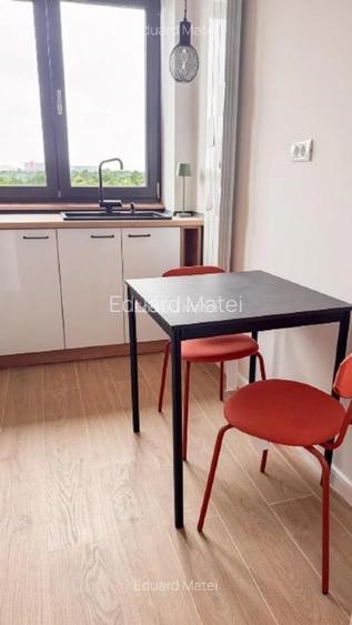 Apartament cu vedere panoramică la Parcul Tineretului - 12