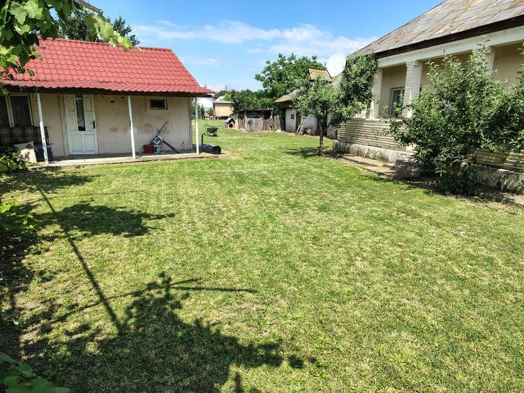 Casa bătrânească cu 1200 mp.